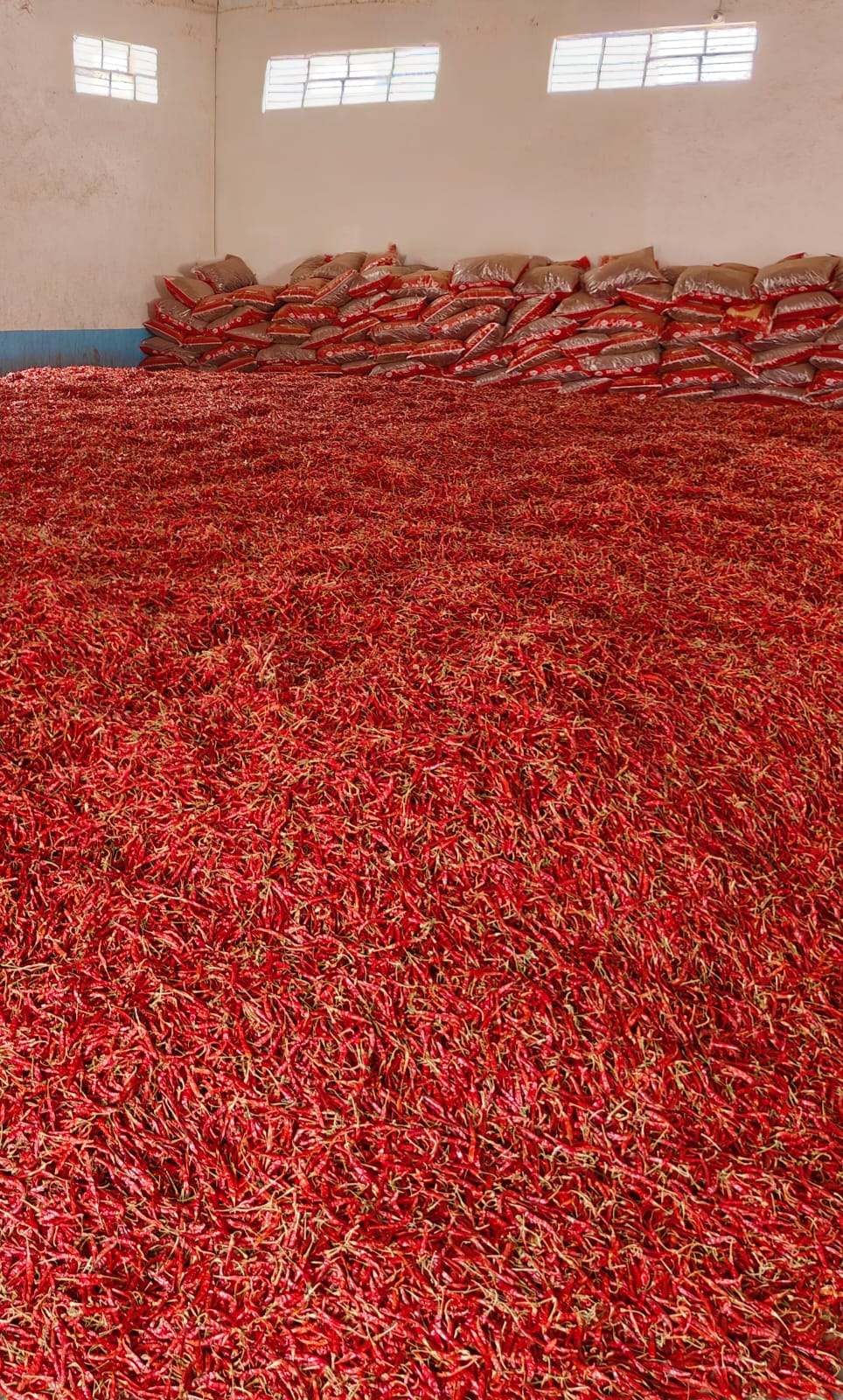 Premium Red Chillies